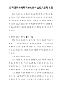 公司组织的拓展训练心得体会范文总结3篇