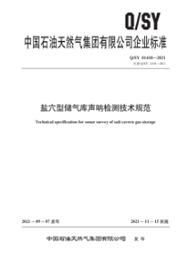 QSY 01418-2021 盐穴型储气库声呐检测技术规范