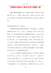 师德师风建设心得体会范文精编5篇