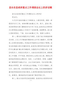 县长在县政府重点工作调度会议上的讲话稿