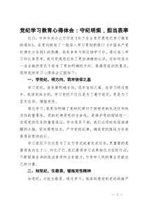 党纪学习教育心得体会：守纪明规，担当表率