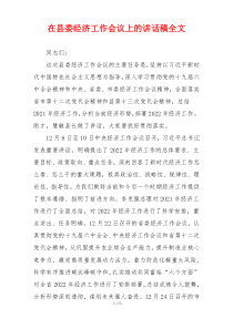 在县委经济工作会议上的讲话稿全文