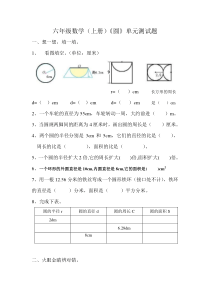 六年级上册圆测试题