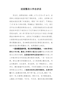 在巡视整改工作会议上的讲话