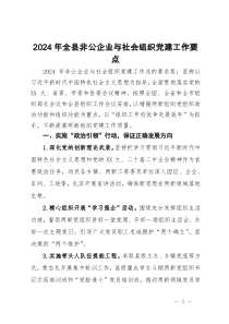 2024年全县非公企业与社会组织党建工作要点