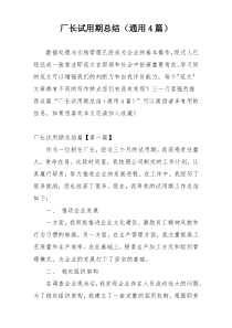 厂长试用期总结（通用4篇）