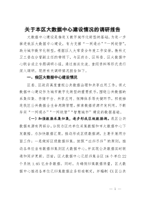 关于本区大数据中心建设情况的调研报告