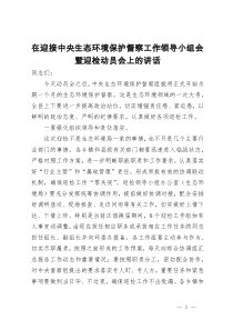 在迎接中央生态环境保护督察工作领导小组会暨迎检动员会上的讲话