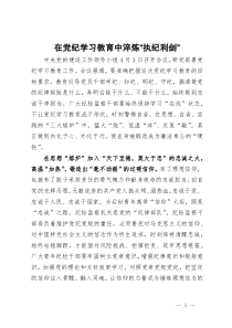 研讨发言：在党纪学习教育中淬炼“执纪利剑”