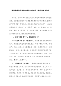 镇党委书记在党组织建设工作会议上的交流发言范文