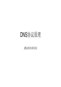 DNS协议原理