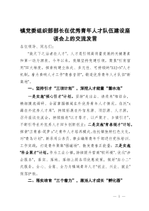 镇党委组织部部长在优秀青年人才队伍建设座谈会上的交流发言