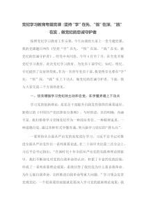 党纪学习教育专题党课坚持学在先悟在深践在实做党纪的忠诚守护者