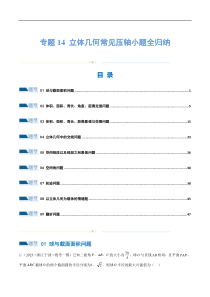 专题14 立体几何常见压轴小题全归纳（练习）（解析版）