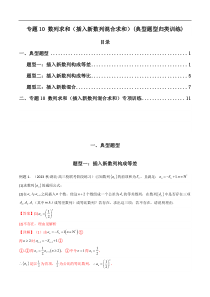 专题10 数列求和（插入新数列混合求和）(典型题型归类训练)（解析版）