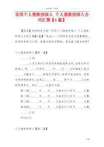 实用个人借款担保人 个人借款担保人合同汇聚【4篇】