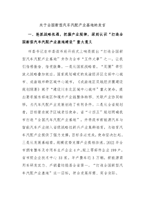 关于全国新型汽车汽配产业基地的发言