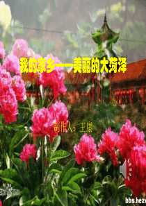 美丽的菏泽