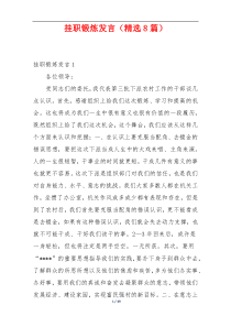 挂职锻炼发言（精选8篇）