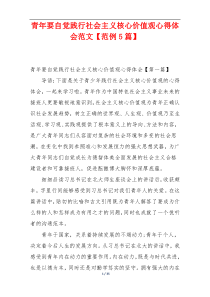 青年要自觉践行社会主义核心价值观心得体会范文【范例5篇】