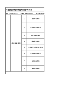 VI项目