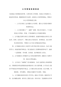 公司规章制度及各部门分工职责划分-文档