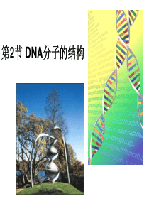 DNA分子的结构(公开课精品课件)