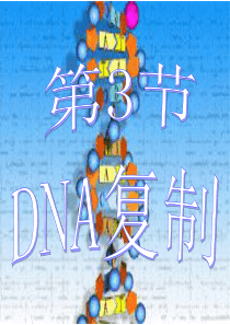 DNA的复制(最全有动画)