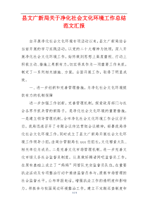 县文广新局关于净化社会文化环境工作总结范文汇报