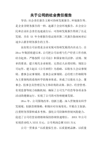 关于公司的社会责任报告