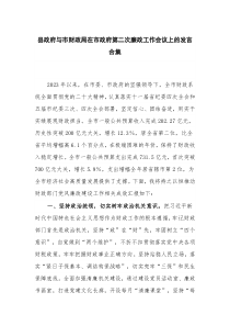 县政府与市财政局在市政府第二次廉政工作会议上的发言合集