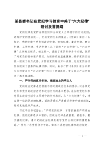 某县委书记在党纪学习教育中关于“六大纪律”研讨发言提纲