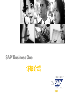 SAPBusinessOne系统详细介绍XXXXb_Neusoft