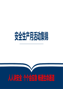 2024年安全生产月活动策划及方案集锦（46页）