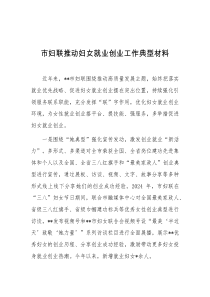 市妇联推动妇女就业创业工作典型材料