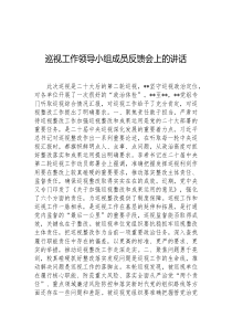 巡视工作领导小组成员反馈会上的讲话