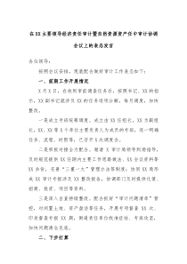 在XX主要领导经济责任审计暨自然资源资产任中审计协调会议上的表态发言