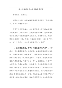 在乡村振兴工作会议上的交流发言