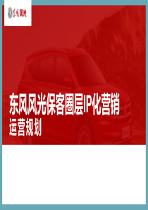 东风风光保客圈层IP化营销运营规划