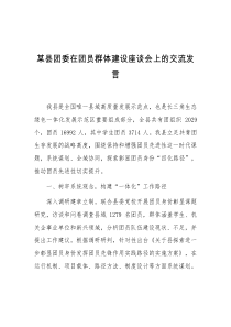 (领导发言)某县团委在团员群体建设座谈会上的交流发言