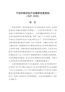  波市新材料产业集群发展规划（2021-2025）文本30页