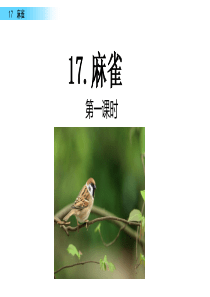 17 麻雀