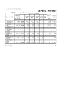 文件90  资产折旧、摊销明细表