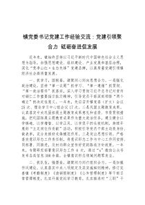 镇党委书记党建工作经验交流党建引领聚合力砥砺奋进促发展