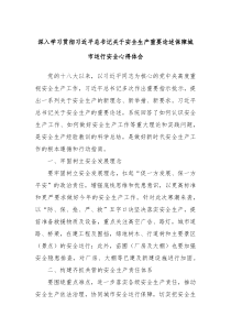 深入学习贯彻习近平总书记关于安全生产重要论述保障城市运行安全心得体会