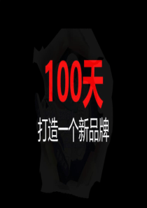 100天如何打造一个新品牌 