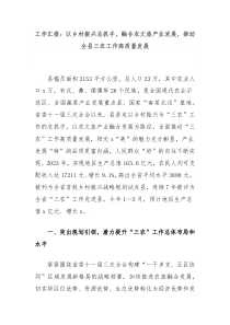 工作汇报以乡村振兴总抓手融合农文旅产业发展推动全县三农工作高质量发展