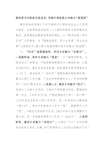 (领导发言)镇党委书记经验交流发言党建引领绘就乡村振兴新蓝图