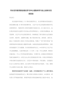 市长在市委常委会理论学习中心组集体学习会上的研讨交流发言