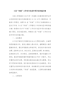 X县双减工作百日攻坚专项行动实施方案